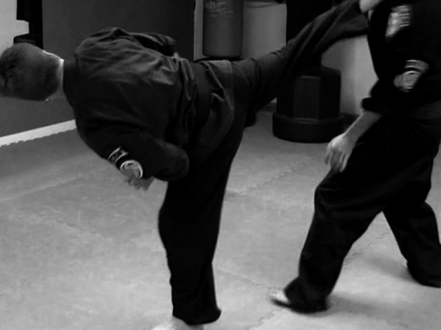 Kenpo Karate